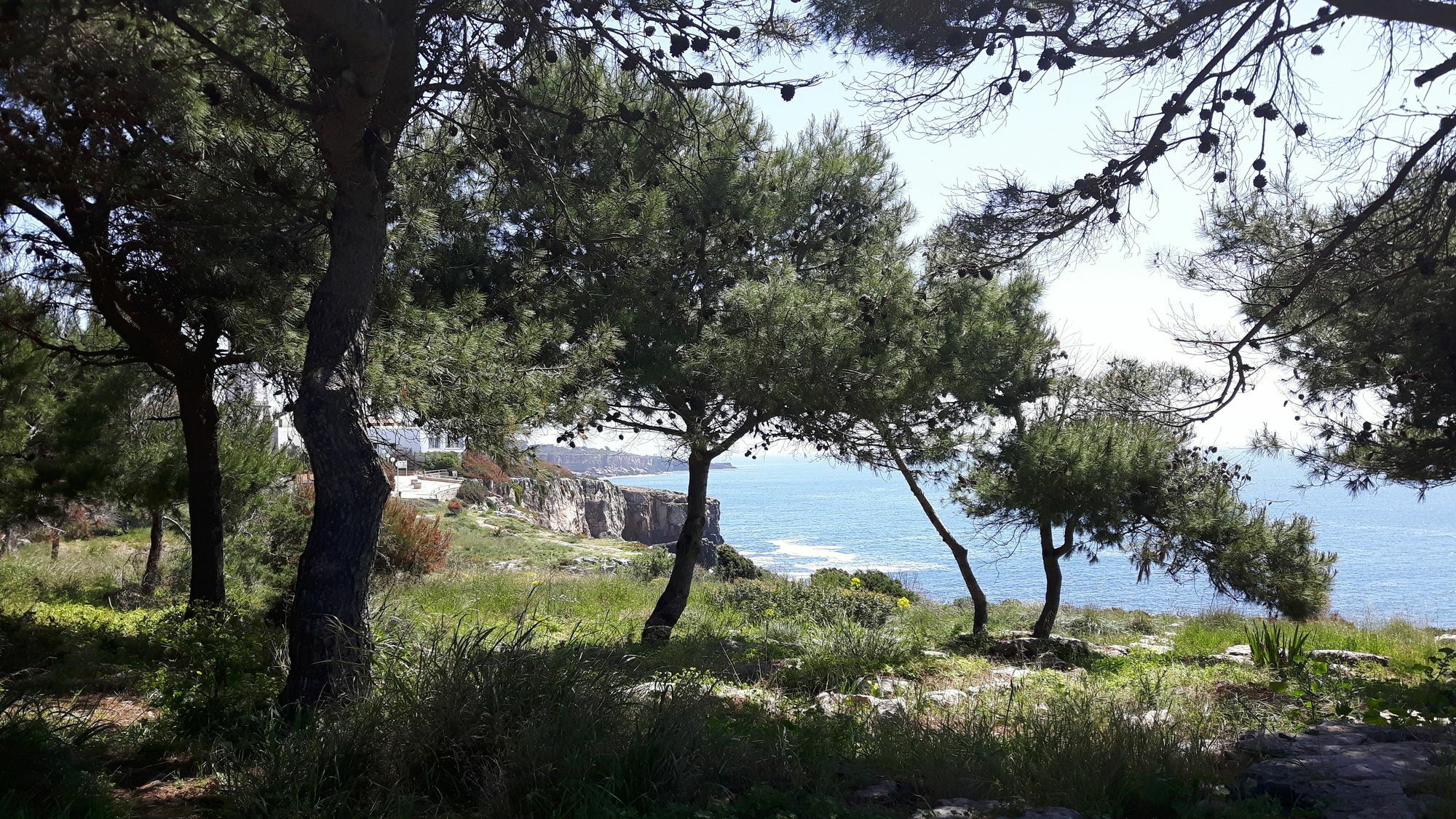 Charming Villa Golf & Beach Cascaes Exterior foto